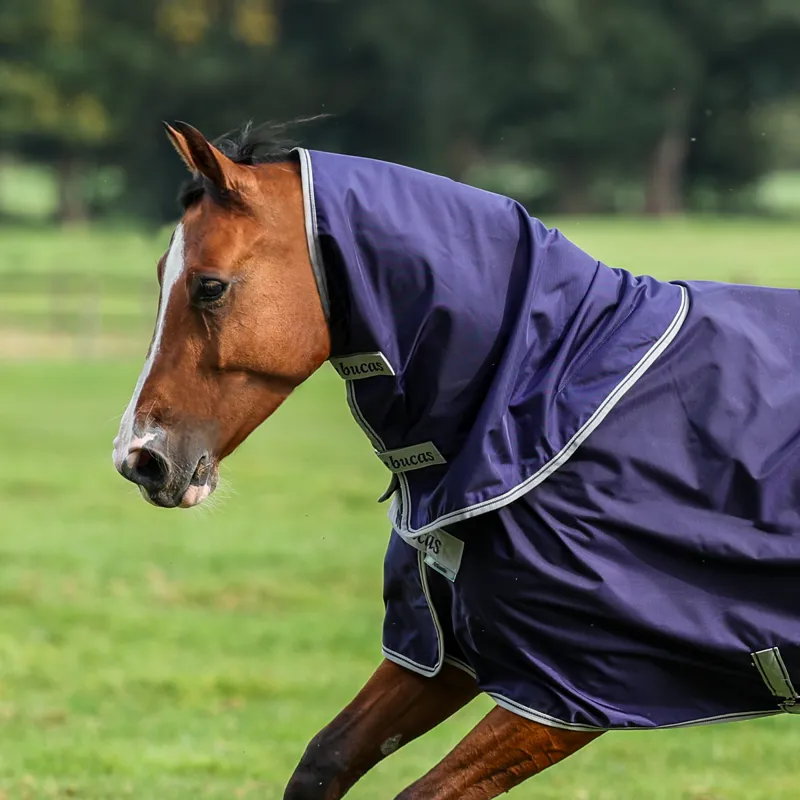 Bucas Atlantic 50g Turnout Combi Neck Cover - Navy/Silver